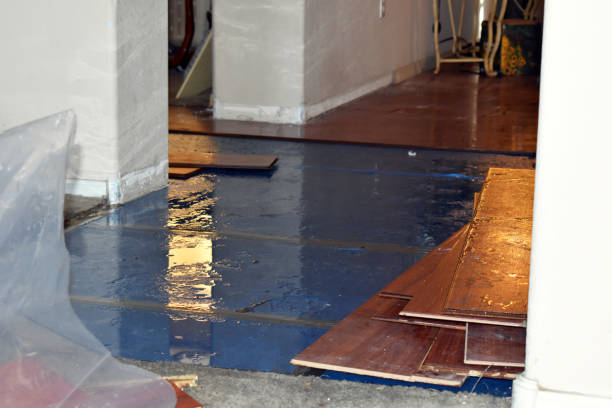 Professional Basement Flood Cleanup technician working in Hope, ME